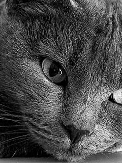 Other Wallpapers 0540